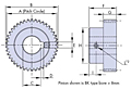 Pinion Schematic Diagram
